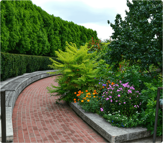 External garden path build